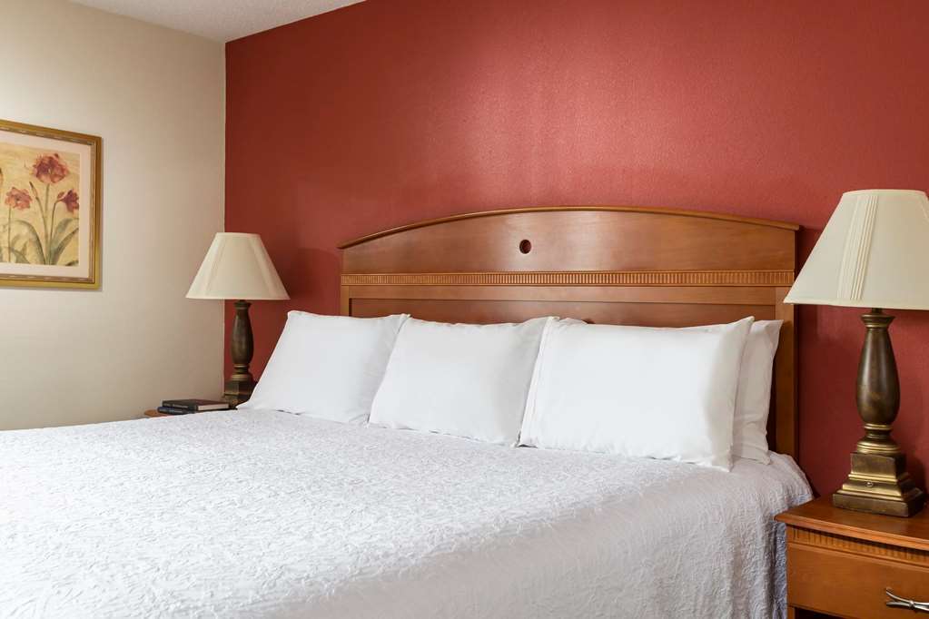 Hampton Inn By Hilton Youngstown-West I-80 Mineral Ridge Habitación foto